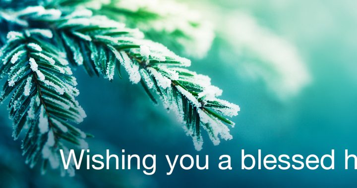 wishing you a blessed holiday from mercy health