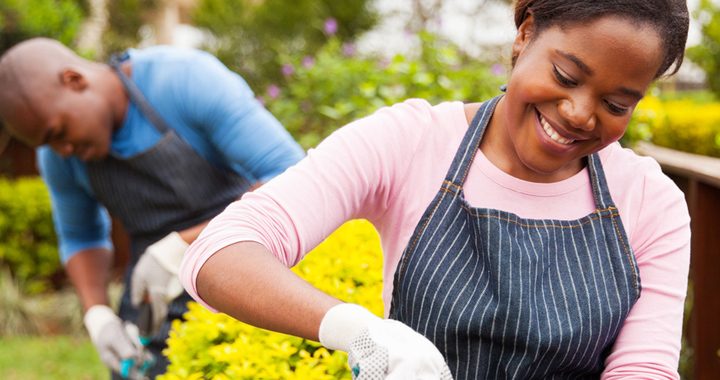 woman gardens yellow flowers - gardening safety tips from mercy health