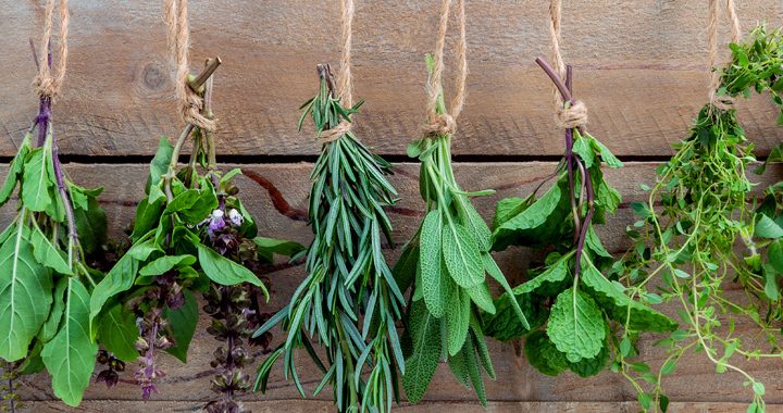 herbs hanging from string _ natural herbs and their benefits