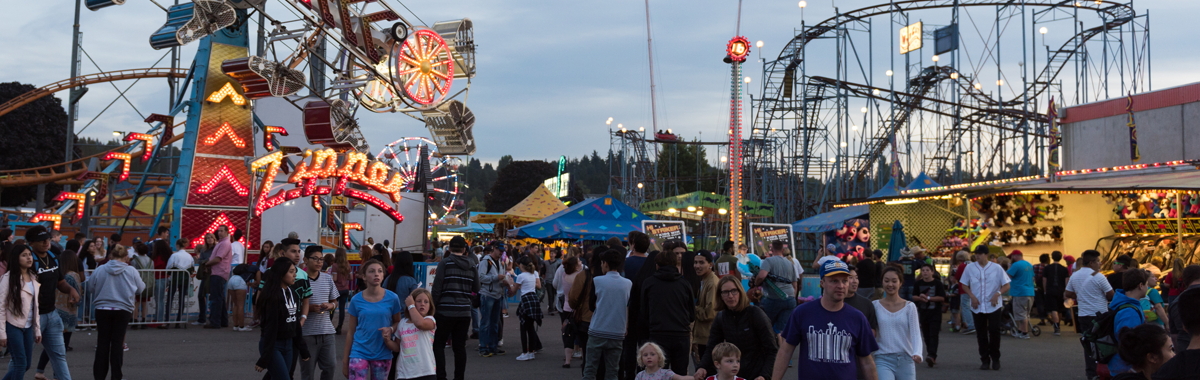 allen county fair _ best outdoor activities in lima ohio