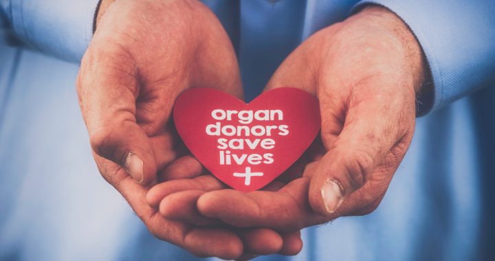 A doctor's hands hold a red heart that says "organ donors save lives"