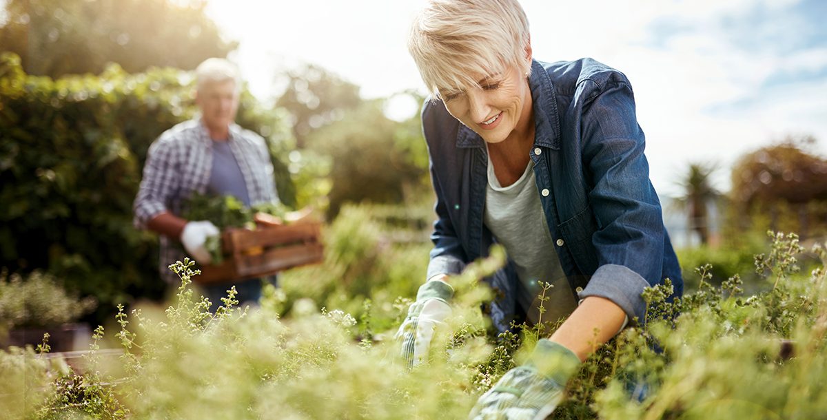 A couple starting a victory garden together