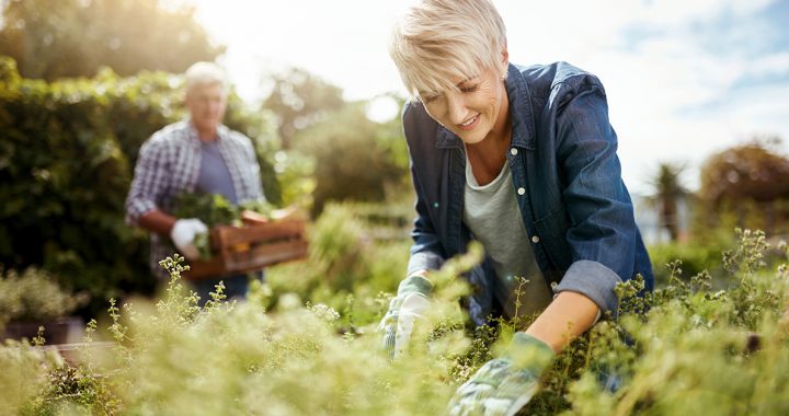 A couple starting a victory garden together