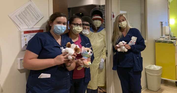 Fairfield Hospital nurses with some of their stuffed animals.