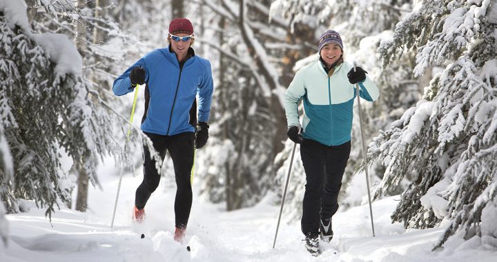 Two people cross country skiing.